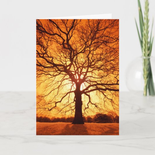 Carte Rayon de soleil (Devant)