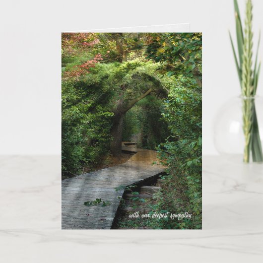 Carte Rayons de soleil dans les bois Sympathie (Devant)