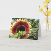 Carte Razzmatazz Sunflower (Fleur jaune)