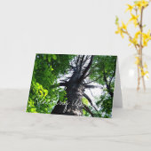 Carte Reaching Upwards (Fleur jaune)