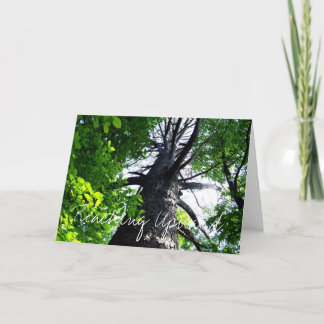 Carte Reaching Upwards