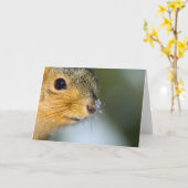 Carte Ready for spring (Fleur jaune)