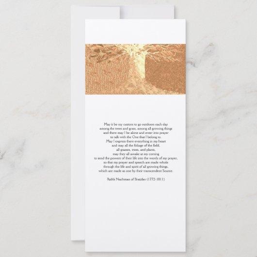 Carte Reb Nachman de prière 4" x 9,25" avec envelo (Devant)