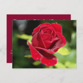 Carte Recette Chocolat Chip Arachide Beurre Cookie (Devant / Derrière)