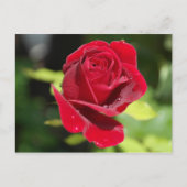 Carte Recette Chocolat Chip Arachide Beurre Cookie (Devant)