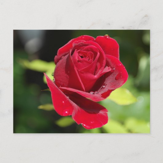 Carte Recette Chocolat Chip Arachide Beurre Cookie (Devant)