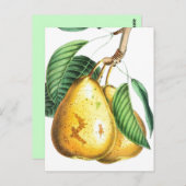 Carte Recette poire d'or (Devant / Derrière)