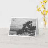 CARTE "RECHERCHE ALBUQUERQUE" (Fleur jaune)