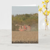 Carte Récolte de soja (Fleur jaune)