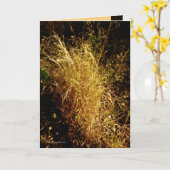 Carte Récolte d'or (Fleur jaune)