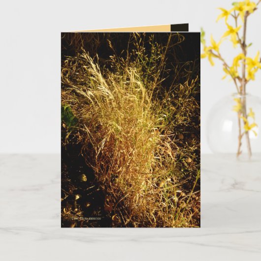 Carte Récolte d'or (Fleur jaune)