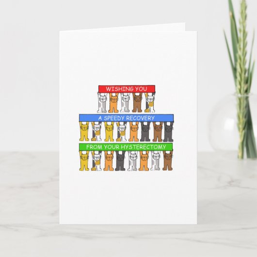 Carte Récupération Rapide De L'Hystérectomie Cute Cats (Devant)