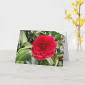 Carte Red Camilia (Fleur jaune)