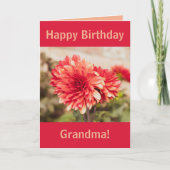 Carte Red Dahlia Joyeux anniversaire (Devant)