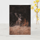 Carte Red Deer Stag (Fleur jaune)