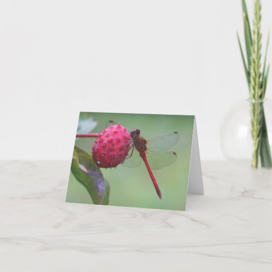 Carte Red Dragonfly Nature Photography Note (Devant)