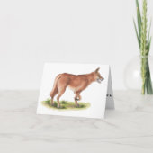 Carte Red Fox Blank Note Card (Devant)