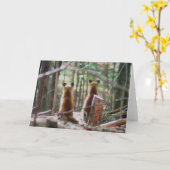 Carte Red Fox Kits regarder (Fleur jaune)