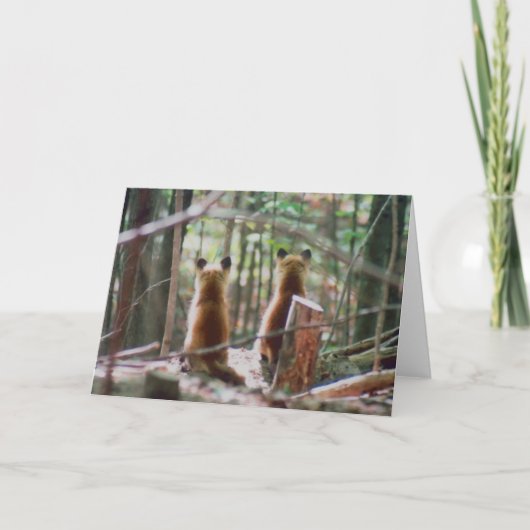 Carte Red Fox Kits regarder (Devant)