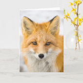 Carte Red Fox Portrait (Fleur jaune)