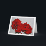 Carte Red Geranium Flowers, Floral Portrait<br><div class="desc">Red Geranium Flowers, Floral Portrait Greeting Card. You can easily customize this product for free if you would like to add wording or change the color of the background.</div>