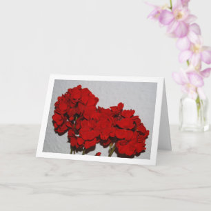 Carte Red Geranium Flowers, Floral Portrait