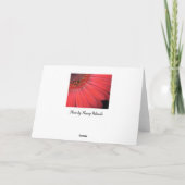 Carte Red Gerber Daisy (Dos)