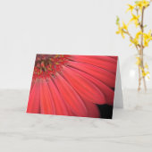 Carte Red Gerber Daisy (Fleur jaune)