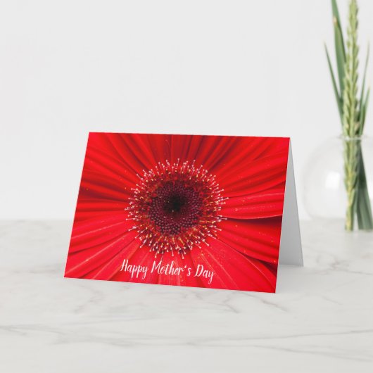 Carte Red Gerbera Daisy pour maman (Devant)
