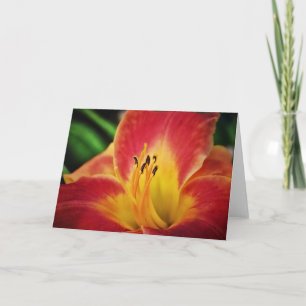 Carte Red Gold Lily