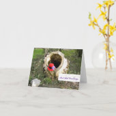 Carte Red Hat (Fleur jaune)