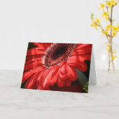 Carte Red Hot Gerbera (Fleur jaune)