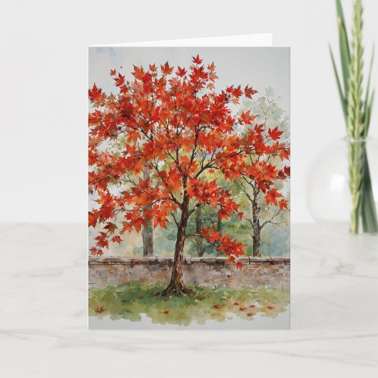 Carte Red Japanese Maple Study C (Devant)