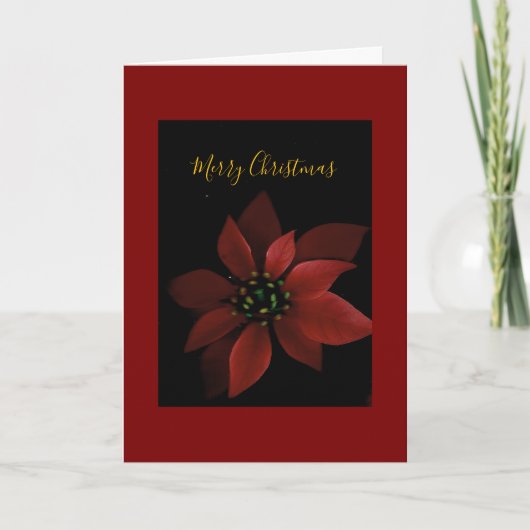 Carte Red Poinsettia Merry Christmas  (Devant)