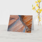 Carte Red Rock Valley Fire State Park Nevada (Fleur jaune)