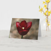 Carte Red Tulip (Fleur jaune)