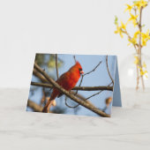 Carte Redboy Watching (Fleur jaune)