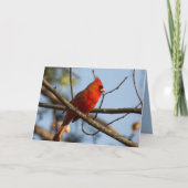 Carte Redboy Watching (Devant)