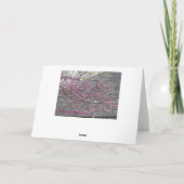 Carte Redbud fleurit ressort de réjouissance (Dos)