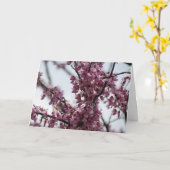 Carte Redbud fleurit ressort de réjouissance (Fleur jaune)