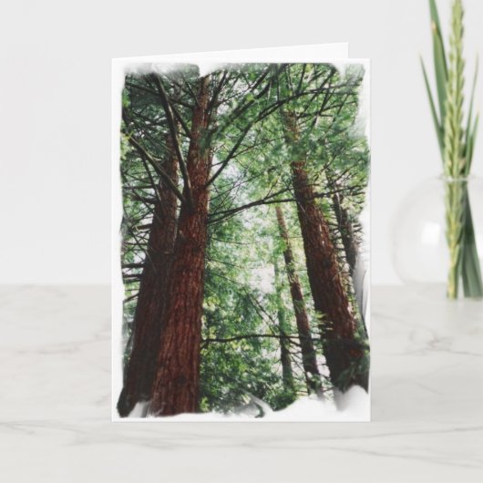 Carte Redwood Sky (Devant)