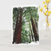 Carte Redwood Sky (Fleur jaune)