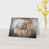 Carte Reed Nature Photo (Fleur jaune)
