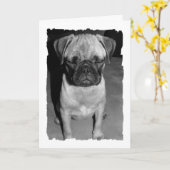 Carte Réfléchissez à votre sujet (Fleur jaune)