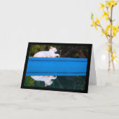 Carte Reflet d'un chat blanc (Fleur jaune)