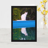 Carte Reflet d'un portrait de chat blanc (Fleur jaune)