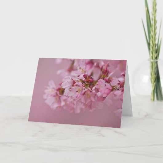 Carte Reflets Rose Pâle des Fleurs de Cerisier Sakura (Devant)
