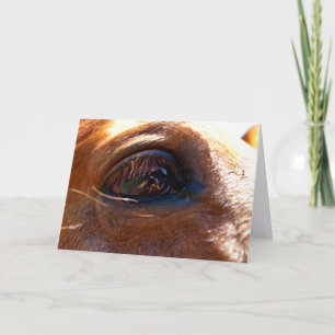 Carte Réflexion dans l'oeil du cheval