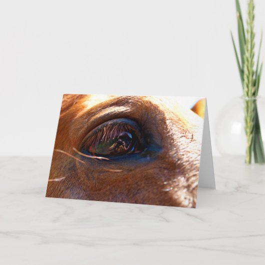 Carte Réflexion dans l'oeil du cheval (Devant)
