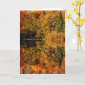 Carte Réflexion d'automne sur Coffin Pond (Fleur jaune)